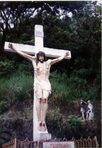 dad_s_picture_collection_086_0hvq